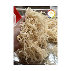 Algues eucheuma cottonii sauvages fabriquées, origine vietnamienne, source séchée de qualité supérieure pour les industries alimentaires et cosmétiques - Product Image 2