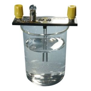 Électrodes en acier inoxydable avec lampe fixe et prise de 4 mm pour tubes à essai - Product Image 1