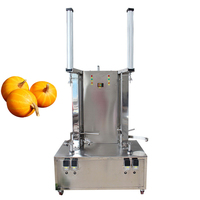 Machine à éplucher la citrouille de pastèque Éplucheur de melon d'hiver
