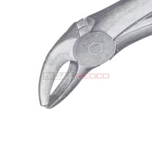 Fig. 10 Fórceps de extracción de dientes de diferentes tamaños Instrumentos médicos dentales Precio al por mayor Proveedor a granel - Product Image 4