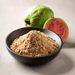 Prix le moins cher poudre de fruit de goyave naturelle goyave en poudre de qualité supérieure de l'usine pour la vente en gros - Product Image 2