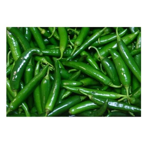 Calidad superior G4 Green Fresh Chili/Chilli Pepper a la venta al mejor precio - Product Image 1