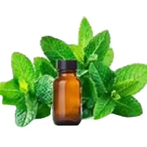 Vente en gros d'huile aromatique naturelle Huile essentielle de menthe verte 100% pure pour parfum cosmétique et produit de saveur alimentaire