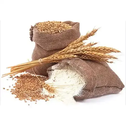 Quality Wheat Flour for Bread/Wheat Four for Baking, White Wheat Flour/Quality White Wheat Flour