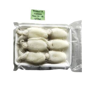 Seiche Entière Nettoyée Congelée Nouvelle Exportation Importation Vietnam Fournisseur Grossiste Prix Compétitif Emballage Sous Vide IQF/BQF 20-40cm 24 - Product Image 3