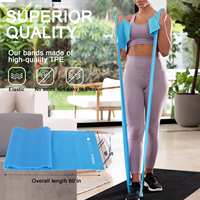 Ensemble de 5 bandes de résistance en TPE sans latex, écologiques et durables, pour la thérapie physique, le yoga, le Pilates et la rééducation