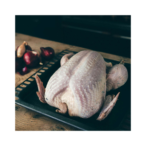 Vente de gros FROZEN TURQUIE CLAIRE ET FONCÉ Congelé Halal - Product Image 3