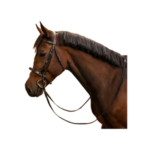 Un fournisseur indien propose des rênes d'entraînement de chevaux robustes à bas prix, réglables en coton pour la marche - Product Image 1