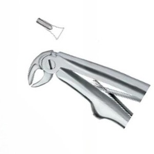 Forceps d'extraction dentaire Fig.137, manuel, haute qualité, logo personnalisé, instruments dentaires en acier inoxydable, certifié CE, Nawaz Surgical - Product Image 3