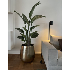 Nouvelle arrivée Vintage décoration de la maison jardinières en métal Pot de fleur plantes herbes Pot conteneur à prix attractif - Product Image 2