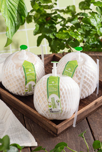 Vilaconic JSC | มะพร้าวสดพรีเมี่ยม | รสหวาน | ผลิตภัณฑ์ธรรมชาติจากเวียดนาม | ติดต่อ MS kayla + 84 85 693 9777 - Product Image 4