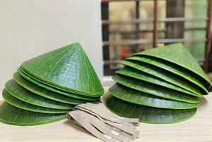 Sombrero Cónico Vietnamita Tradicional Non La, Diseño Artesanal Icónico para Protección Solar y Encanto Cultural - Product Image 5