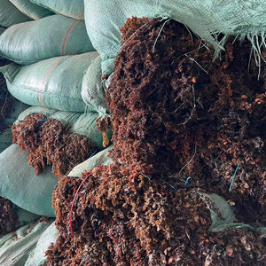 Polvo de algas secas Sargassum para alimentación animal con alta calidad/Sra. Lima - Product Image 1