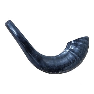 Shofar Hecho a Mano con Cuerno de Carnero, Kosher, Cuerno Musical para Rituales Judíos - Product Image 3