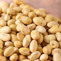 Soja Edamame torréfié croustillant en vrac Mélange parfait de goût et de texture Service OEM/ODM Emballage personnalisé