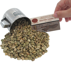 โรบัสต้าสีเขียวของเวียดนามบริสุทธิ์100เปอร์เซ็นต์สำหรับผู้ค้าคั่วแบบส่งออก - Product Image 1