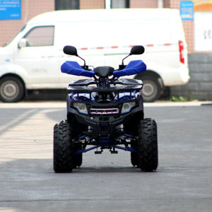 Les fournisseurs chinois produisent 110cc/125cc monocylindre refroidi par air adultes/enfants quatre roues bon marché - Product Image 3