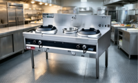 Cuisinière à gaz commerciale XY à deux brûleurs, cuisinière robuste en acier inoxydable à économie d'énergie