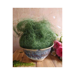 Fibre de sisal brut naturel de haute qualité pour le gypse bon marché - Product Image 4