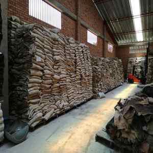 Wholesale Organic Split Dry Salted Cow Hides/Skins for Furniture & Shoes at <b>Cheap</b> Price - Product Image 4