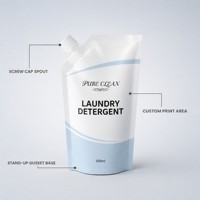 Sachet de recharge personnalisé pour lessive en poudre, pochette souple verticale 500 ml, imprimé en héliogravure, OEM ODM, avec bec verseur