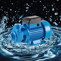 Pompe à eau électrique 0,5 CV 0,75 PM-70 110V/220V Basse pression IP44 pour l'irrigation domestique et agricole