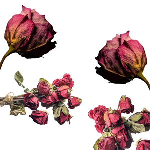 ดอกกุหลาบสีแดงแห้ง | กลีบดอกสีสันสดใสสำหรับถุงชาและมาสก์หน้า - Product Image 3