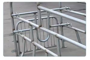 Jaula de animales de granja porcina al por mayor de fábrica, jaula de gestación para cerdos, jaula de gestación - Product Image 5