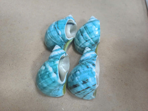 แหวนใส่ผ้าเช็ดปากเวียดนาม ทนทาน ลายหอยและเปลือกหอย สำหรับใช้ในร้านอาหารเชิงพาณิชย์ที่มีการใช้งานหนัก - Product Image 4