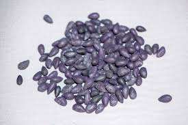 Semillas de algodón orgánico crudo de calidad superior al por mayor baratas para la exportación - Product Image 2