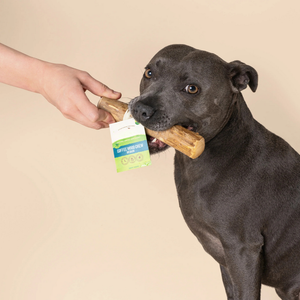 Mordedor de Madera de Café Natural para Masticar Diariamente de Forma Segura - Product Image 5