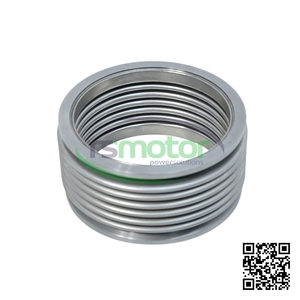 Junta de Expansión Original OEM para Motor de Gas Natural MWM RS-12342478, Piezas de Motor - Product Image 3