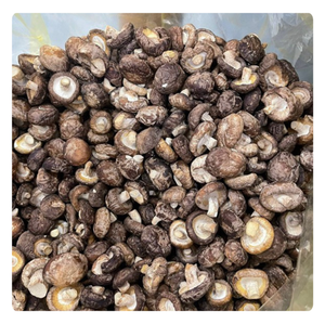 Champignons shiitake naturels de qualité supérieure Source sauvage frais et séchés-directement auprès des meilleurs fournisseurs du Vietnam - Product Image 1