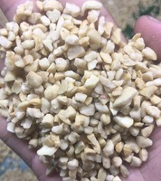 Noix de cajou brutes de qualité supérieure, fraîches et riches en nutriments, favorisées du marché alimentaire, cartons de 20 kg, Nam Tin Phat