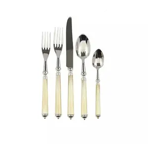 现代设计骨镶嵌手柄装饰水果叉和饭勺高品质整理餐饮餐具