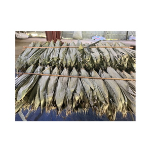 100% feuille de bambou naturelle de grande taille pour plat de nourriture de Sushi-feuille de bananier séchée au soleil feuilles de bambou fraîches pour emballer les aliments du Vietnam - Product Image 5
