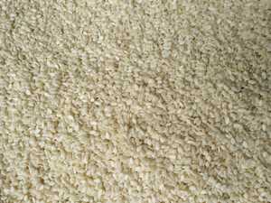 งาขาวคั่วเกรดพรีเมียม ปี 2025 ผลผลิตใหม่ กลิ่นหอมสีทอง เหมาะสำหรับอุตสาหกรรมอาหารและการส่งออกจำนวนมาก - Product Image 5