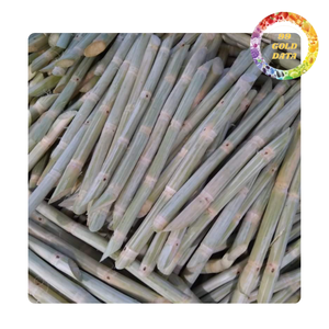 Morceaux et bâtonnets de canne à sucre congelés | Prêt pour la fabrication de jus | Approvisionnement en vrac | Origine vietnamienne - Product Image 1