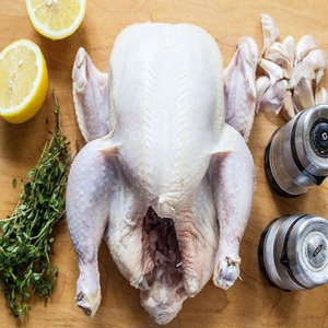 Poulet entier et morceaux de poulet surgelés biologiques certifiés Halal, emballage en boîte/sac, y compris les pattes de poulet, la poitrine et la graisse - Product Image 2