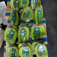 Groothandelsprijs Bananen Gedroogd/Gevriesdroogd/Fris Fruit uit de Mekong Delta GRATIS STALEN MOQ 100-1/TON