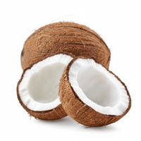 Wild kokospoeder kruidenextract plantaardig kokosingrediënt functioneel voedingsmiddel drank groothandel OEM leverancier Thailand