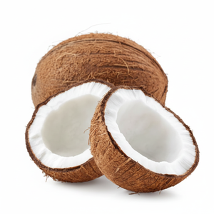 Wild Coconut Powder Herbal Extract <b>Plant</b>-Based Coconut Ingredient <b>for</b> Functional Food Beverage Wholesale OEM Supplier Thailand - Product Image 2