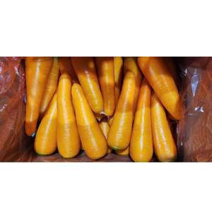 Vietnam Carottes et légumes frais biologiques Goût sucré Livraison rapide avec un excellent service client Vente en gros - Product Image 1