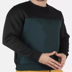 Sweat-shirt pour hommes à col ras du cou lourd fabriqué en usine Sweat à capuche vierge en coton avec logo personnalisé Conception doublée d'approvisionnement OEM avec motif imprimé - Product Image 2