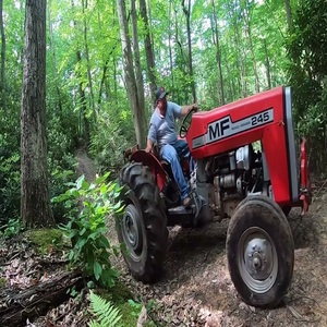 Tractor Massey Ferguson 245 Usado Premium, Utilitario Confiable de 2WD |   Potencia Lista para la Granja | - Product Image 3