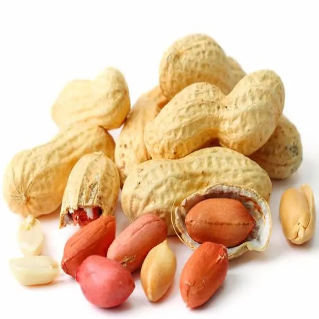 Best Quality Wholesale Factory Price Wholesale Sheller Raw Crunchy Peanuts Packaging Dried No Shell Bulk Peanut Nut