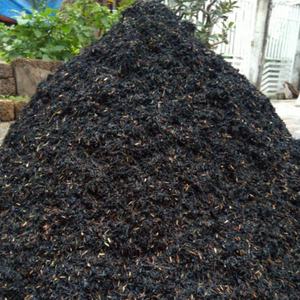 Venta al por mayor precio competitivo cáscara de arroz negro carbón quemado ceniza de cáscara de arroz en bolsa grande 50dm3 vacaciones - Product Image 2