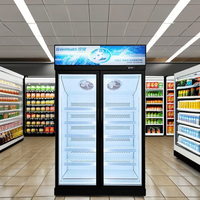 Congélateur vitrine commercial à température unique, à deux portes vitrées, pour supermarché