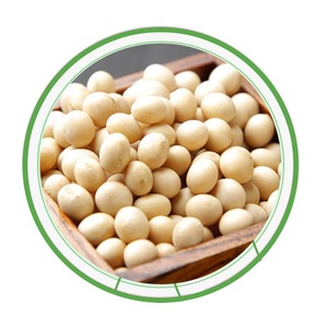 Semillas de Soja Amarilla Seca Orgánica a Granel de 25 kg, Grado Alimenticio y para Germinación, Sin OMG - Product Image 1