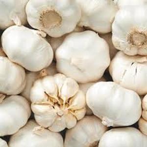 Garlics สดที่มีคุณภาพดีเยี่ยมในราคาที่ดีที่สุด - Product Image 1